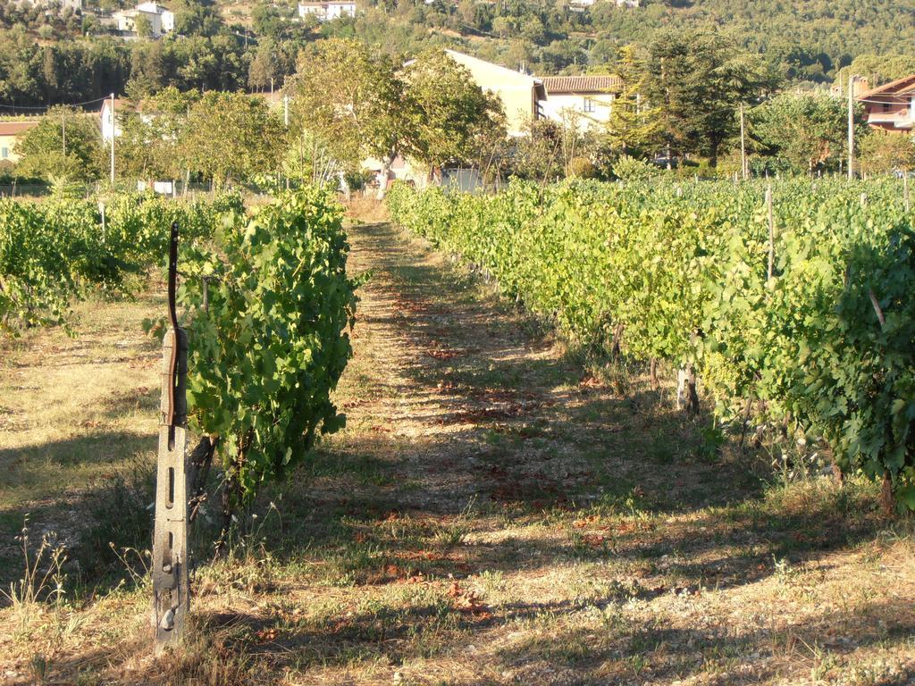 Agriturismo Ponte Di Riocchio Filey Ngoại thất bức ảnh